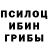 Галлюциногенные грибы Cubensis bagum bagum