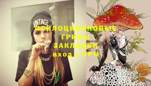 МДПВ Абинск