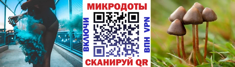 Галлюциногенные грибы Cubensis Шали